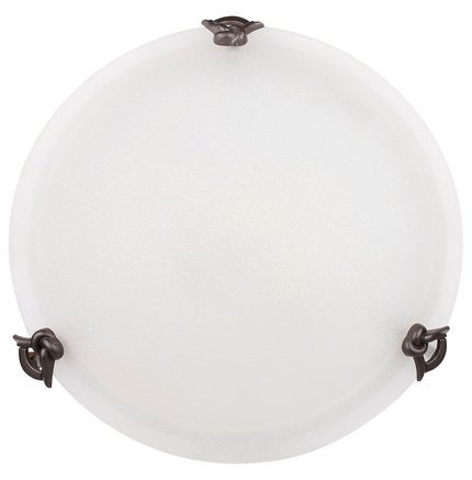 Wall ceiling lamp 60W E27 40cm Eva SB-3838