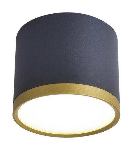 Plafonnier TUBA or + LED noir 9W 4000K 2275963