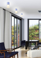 Aufbau-Röhrenlampe Grau mit Milchglas für GU10-Leuchtmittel Candellux 2273686