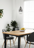 Suspension réglable en verre argenté E27 60W Celia Candellux 31-51561