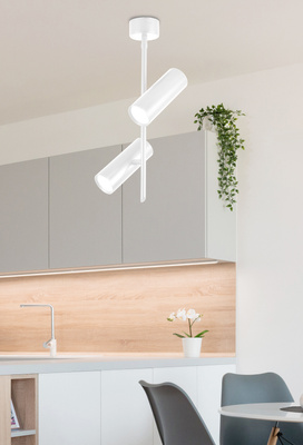 Plafonnier LED 2x5W 4000 blanc tube orientable Candellux 32-76274