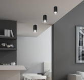 Ceiling lamp black frame 15W GU10 5.5x10cm Tube 2284392