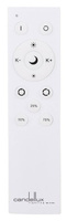 Acrylic ceiling lamp LED 24W variable color brightness + remote control Shon 14-75314