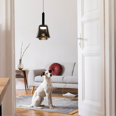 Hanging lamp Bueno glass black with smoked shade for living room