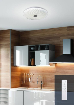 White LED ceiling lamp 38.5cm variable color brightness + remote control Calipso 13-75093