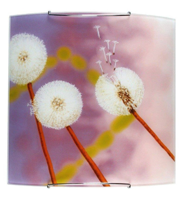Wall lamp sconce 1X60W E27 dandelions 10-86337