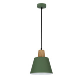 Hanging lamp green metal + wood Faro Ledea 50101260