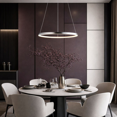 Lampe suspendue LED 25W anneau 40cm rond 4000K Lune 31-64646