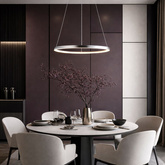 Lampe suspendue LED 25W anneau 40cm rond 4000K Lune 31-64646