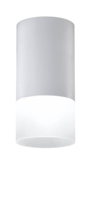 Aufbau-Röhrenlampe Grau mit Milchglas für GU10-Leuchtmittel Candellux 2273686