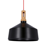 Suspension Robinson 36 1X60W E27 noir et noir 31-10438