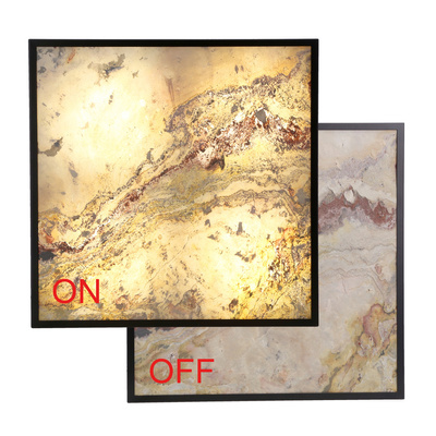 Luxan ceiling lamp 49x49 black 48w led 4000k led indian autumn