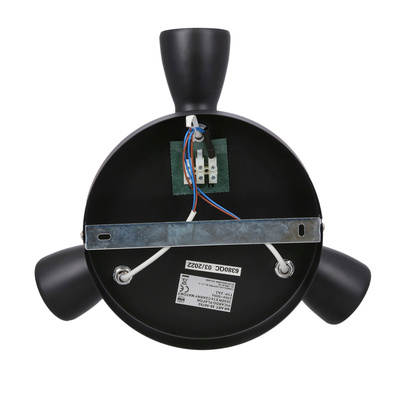 Picardo 98-50793 verstellbare, mattschwarze Deckenleuchte