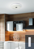 White LED ceiling lamp 48.5 cm variable color brightness + remote control 14-75239