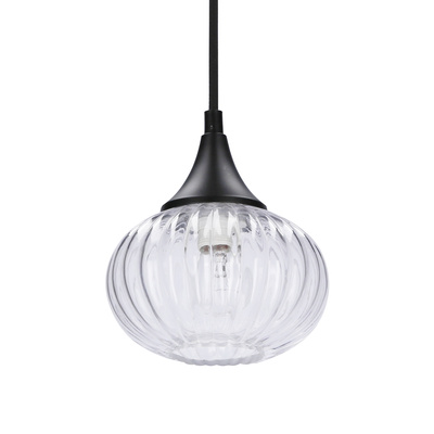 Lampa suspendata neagra/transparenta 145mm Exeter Ledea 50101275
