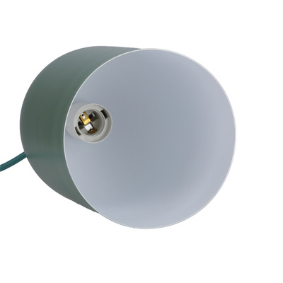 Suspension ovale vert 1xE27 Oss Ledea 50101187