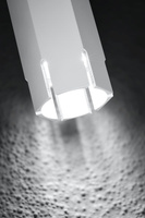 Candellux tube court blanc 2282824
