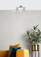 Applique murale/plafonnier en laiton 2xGU10 Colly 92-01719