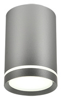 Deckenröhrenlampe Silber 10cm 1xGU10 2277158