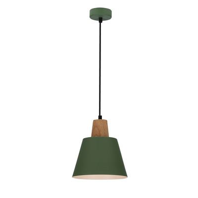 Hanging lamp green metal + wood Faro Ledea 50101260