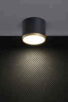 Plafoniera TUBA auriu + LED negru 9W 4000K 2275963
