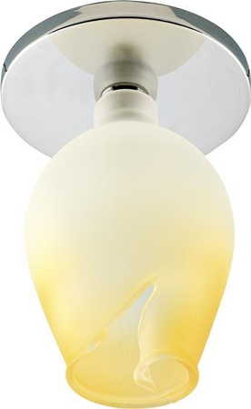 CEILING LUMINAIRE G4 2299764