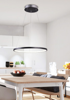Hanging lamp LED 18W ring round black black 29cm Lune 31-64653