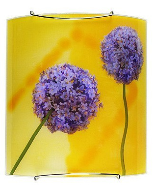 Applique applique 1X60W E27 multicolore GARLIC 10-86344