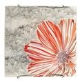 Deckenleuchte Candellux Spring 10-12968 Decke E27 Rot