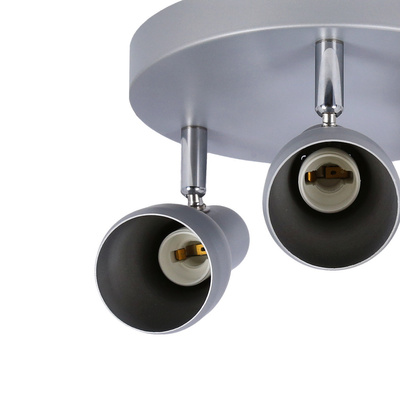 Lampa sufitowa plafon srebrny regulowany Picardo 98-44242