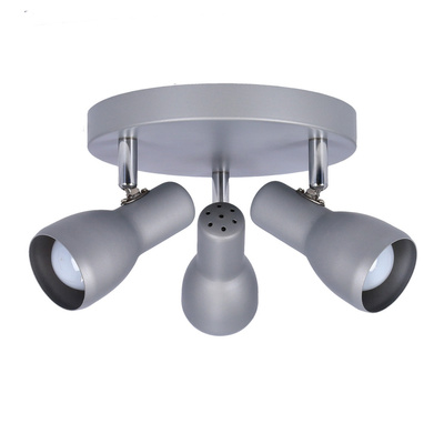 Lampa sufitowa plafon srebrny regulowany Picardo 98-44242