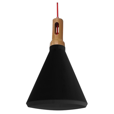 Suspension Robinson 26 1X60W E27 noir et noir 31-10421