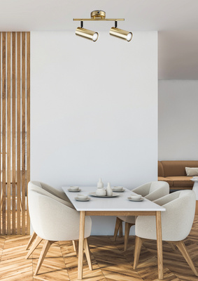 Applique murale/plafonnier en laiton 2xGU10 Colly 92-01719