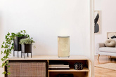 Lampe de table Cabinet Candellux Perla 41-19946 E14 Beige