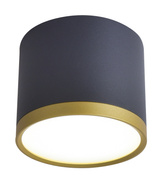 Plafonnier TUBA or + LED noir 9W 4000K 2275963